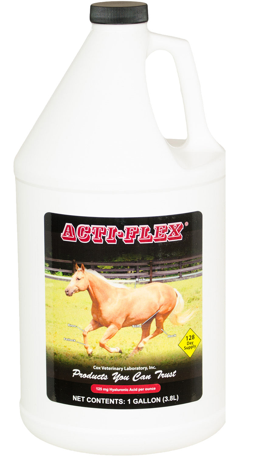 ACTI-FLEX GL