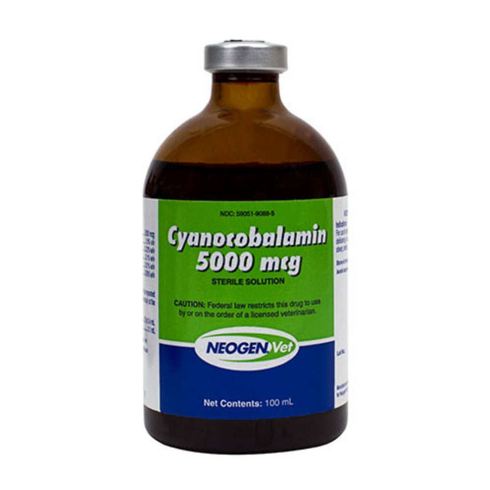 B12 5000 100 ml #09088