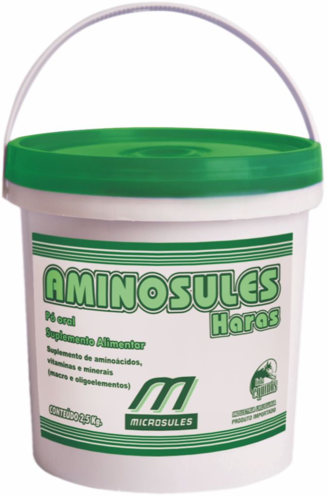 AMINOSULES HARAS 1KG