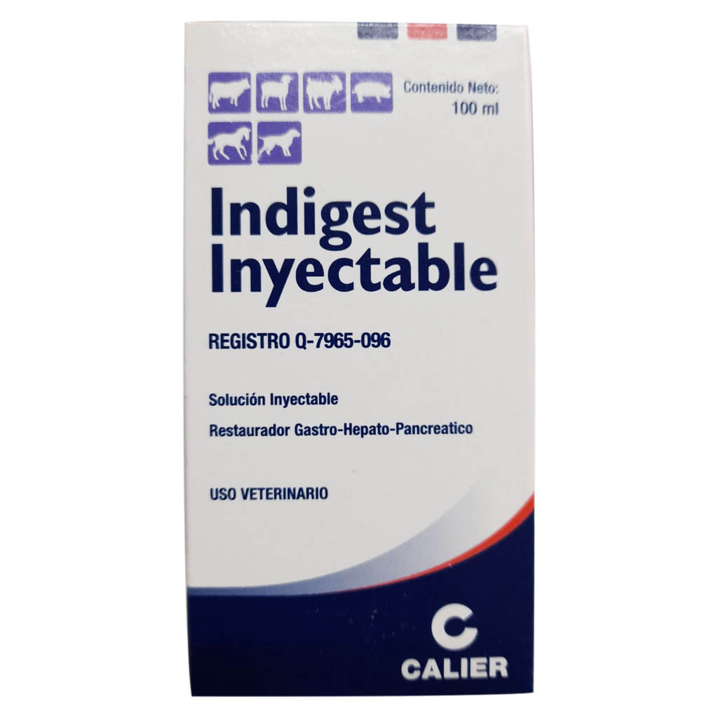 INDIGEST 100 ml