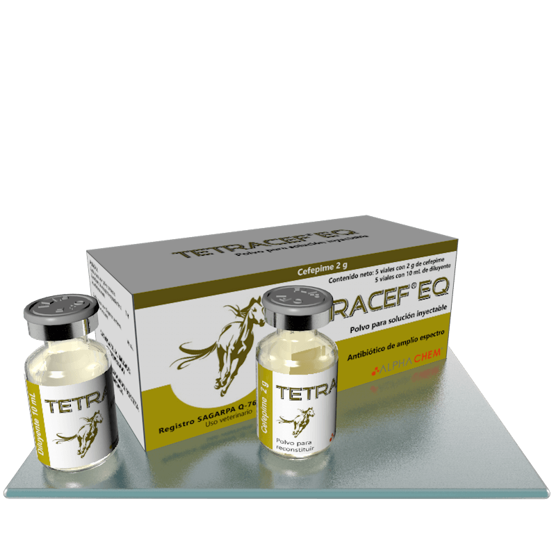 TETRACEF EQ 10 M C/5 2 GR/10 ML