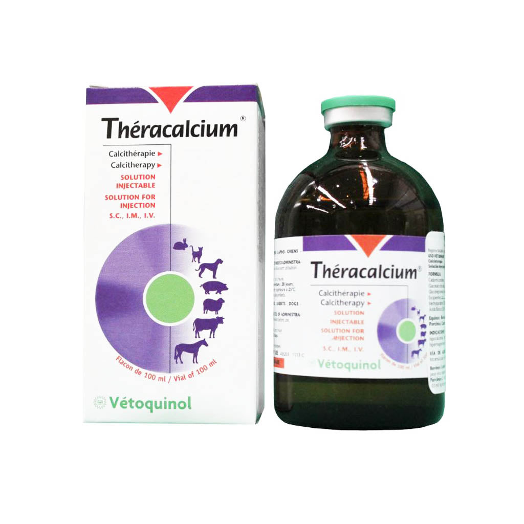 THERACALCIUM INY 100 ML