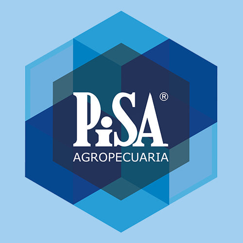PISA