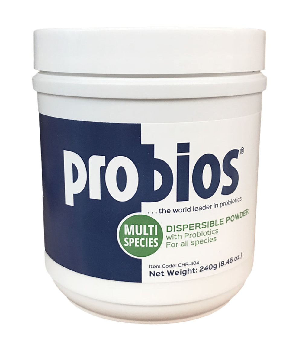 PROBIOS POWDER 240 grs #10592 – Chivali