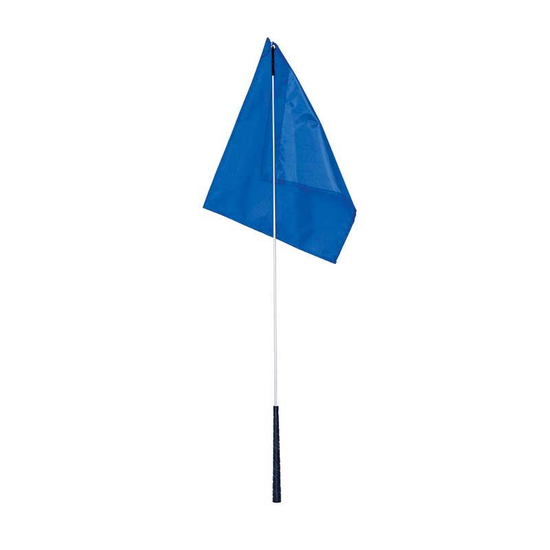 BANDERA DE ENTRENAMIENTO #241771 AZUL