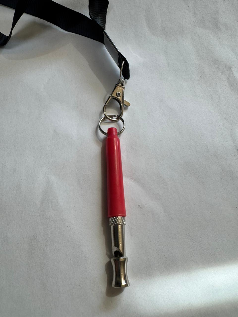 DP-S283R SILBATO P/PERRO