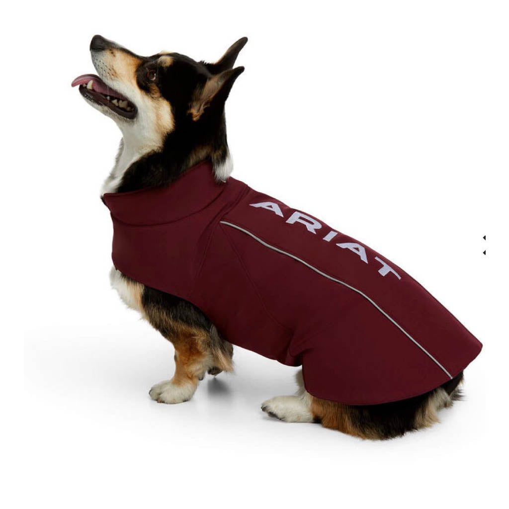 CAMISA P/PERRO #38219 TINTO