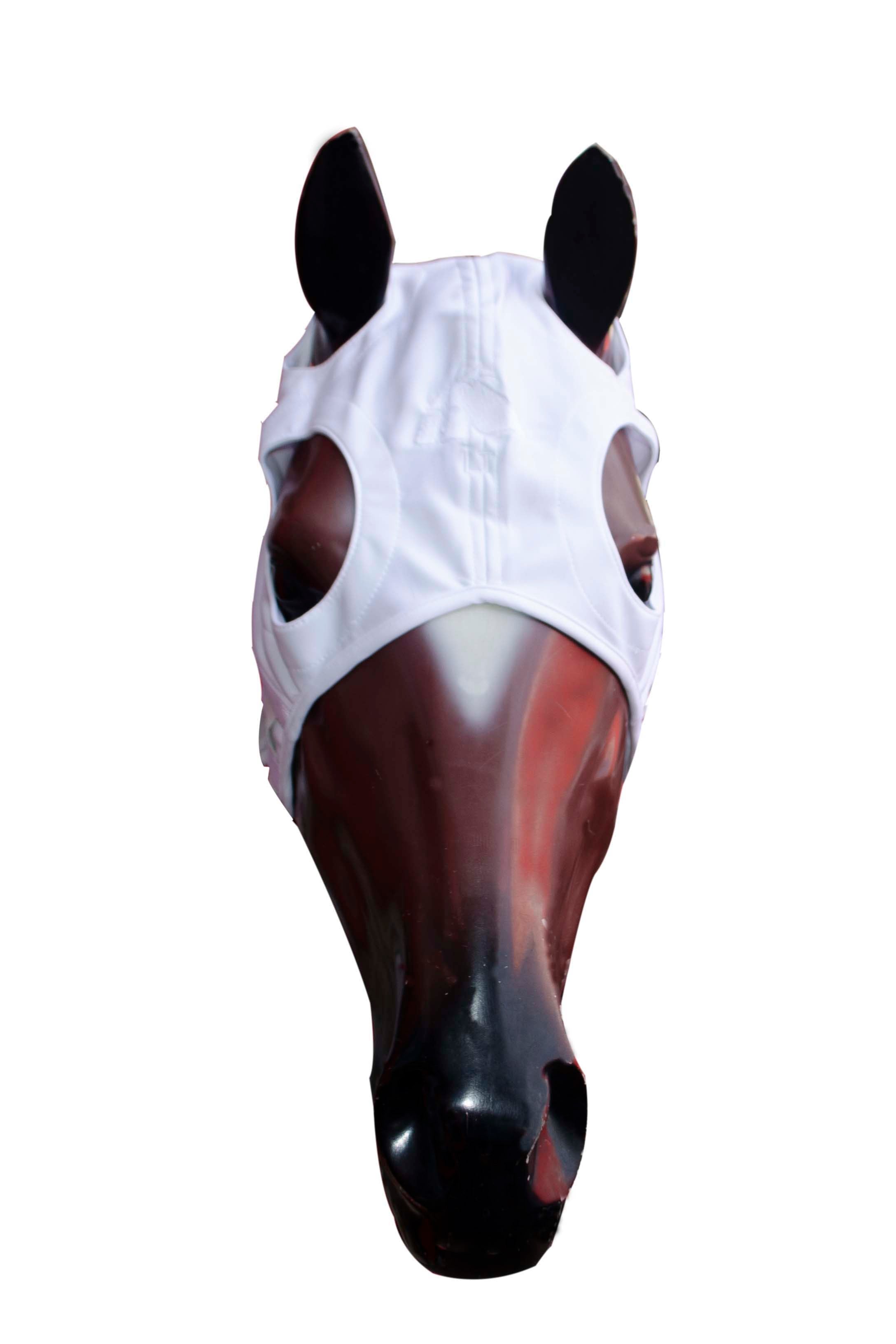 MASCARA DE TITANIO FENWIK