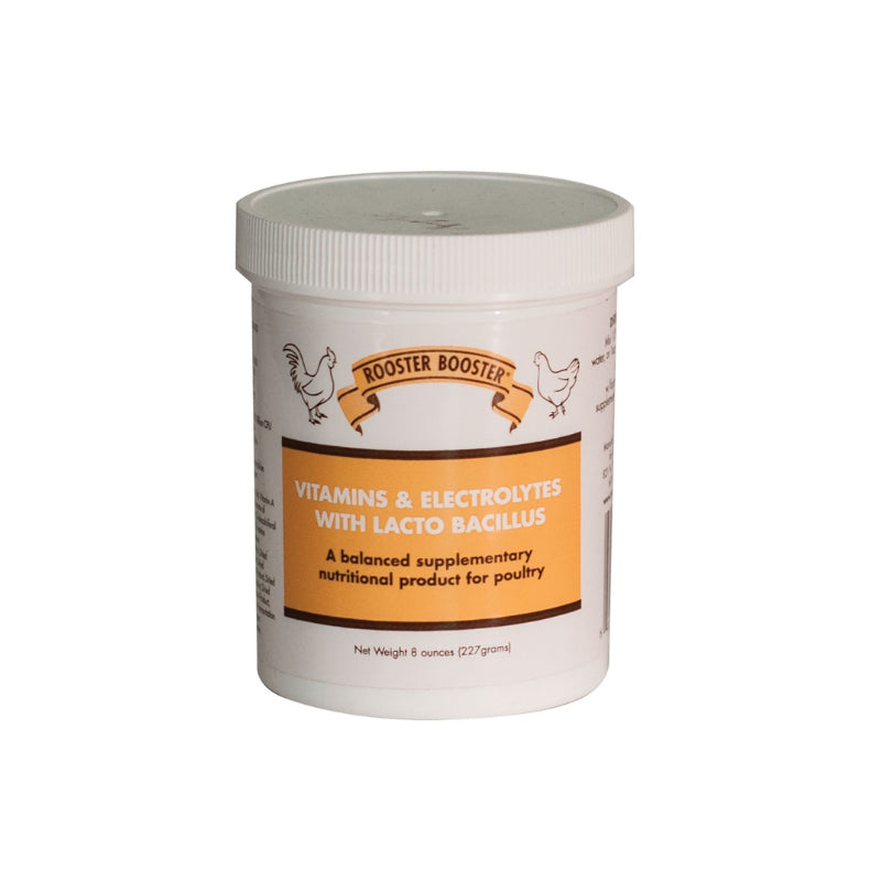 VITAMINS & ELECTROLYTES WHIT LACTOBACILLUS 227 gr
