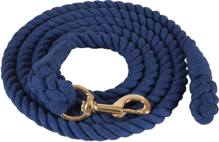 GUIA PASEADOR #6010 B AZUL 3/4" X10"