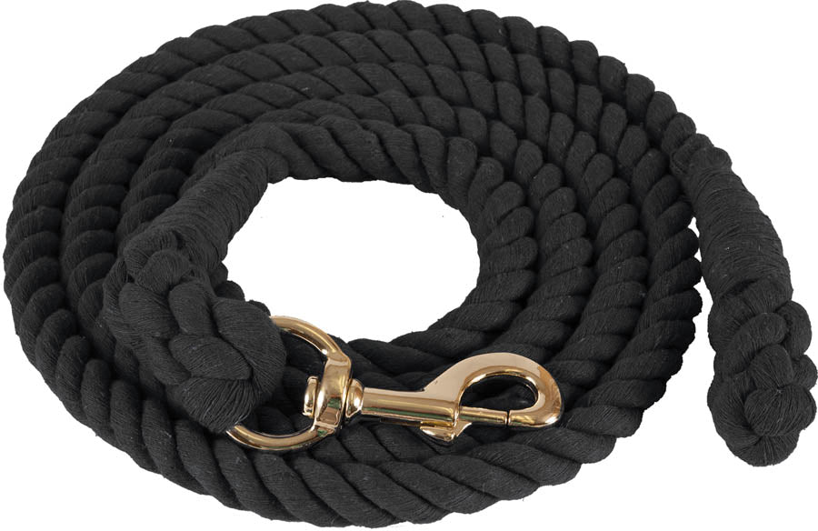 GUIA PASEADOR #6010 D NEGRO 3/4" X10"