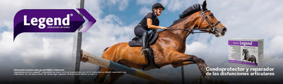 Productos para caballo – Chivali