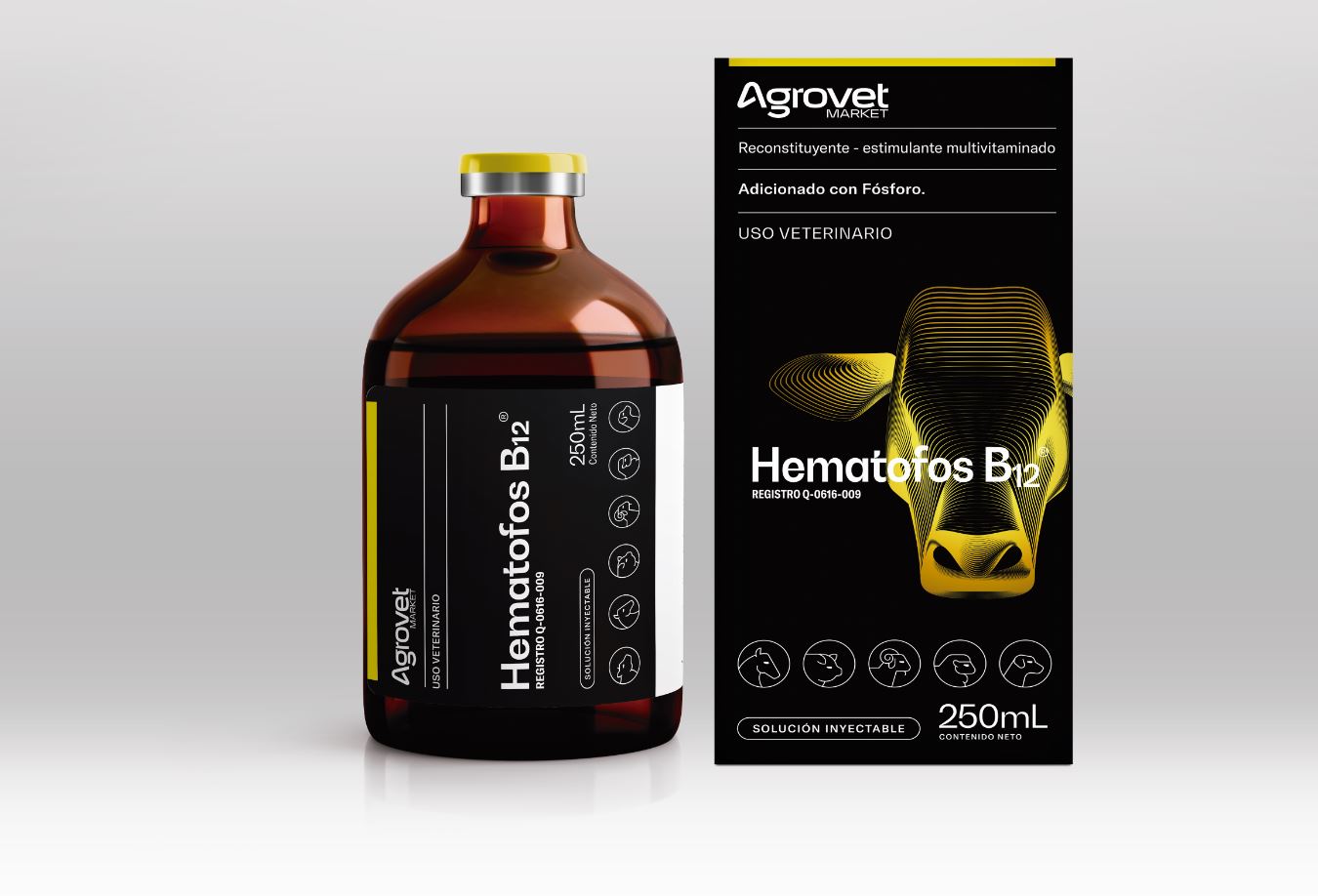 HEMATOFOS B12 100 ml