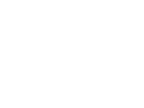 chivali-productos-para-caballo