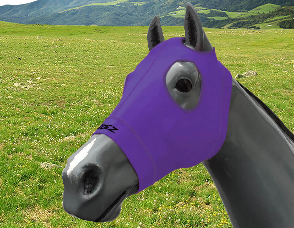MASCARA DE COMPRESION HIDEZ EQ HOOD
