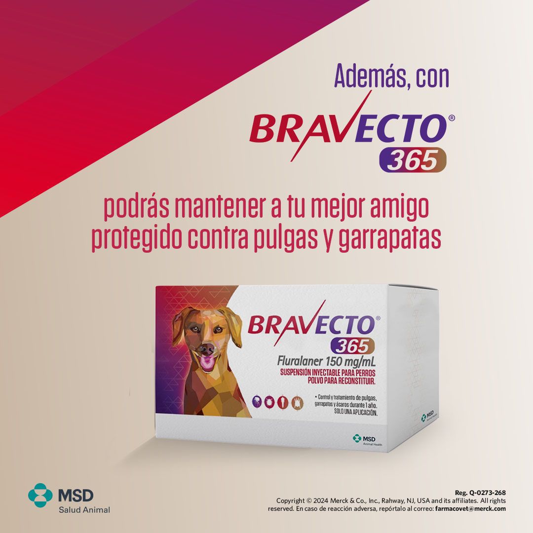 BRAVECTO 365 150mg/ml
