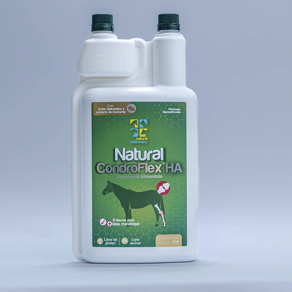 NATURAL CONDRO FLEX HA 1 LT
