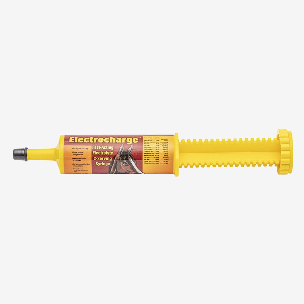 ELECTROCHARGE JERINGA 60 cc