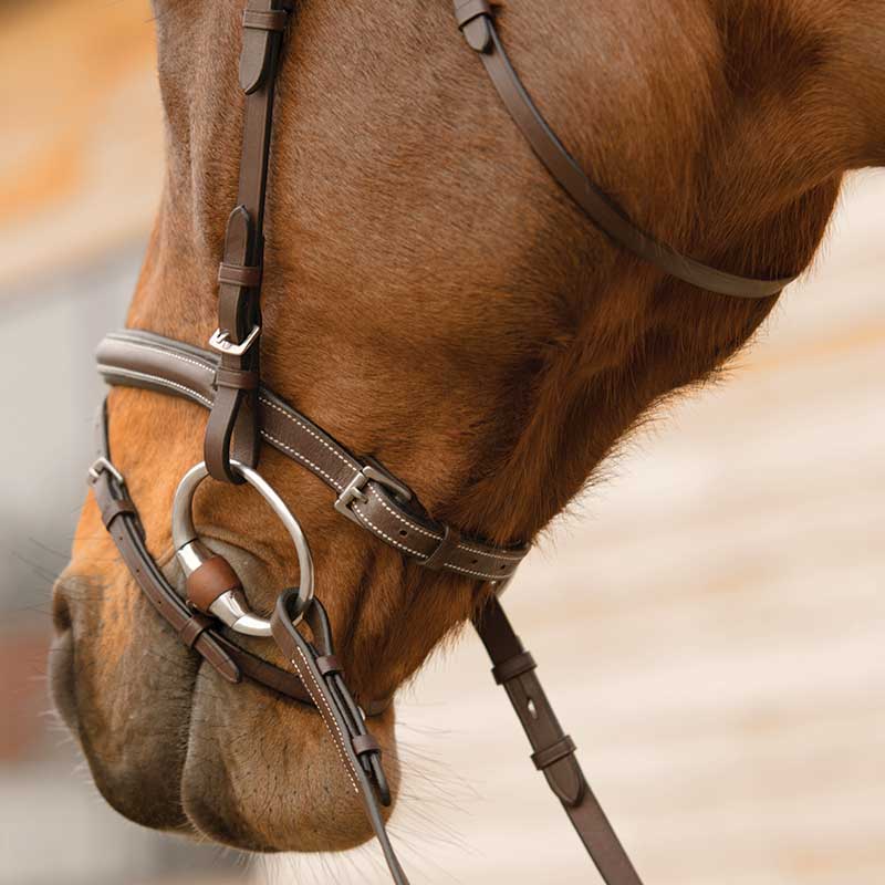 CABEZADA,BOSAL #BE201458FUL
