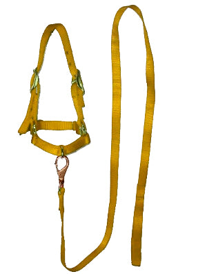 BOSAL #006 P/BORREGO C/GUIA AMARILLO
