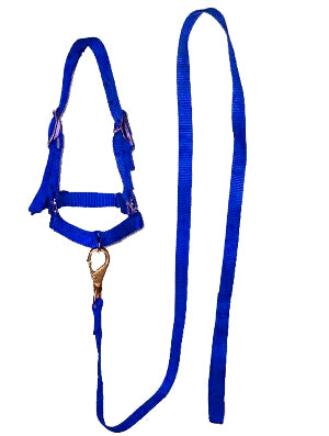 BOSAL #006 P/BORREGO C/GUIA AZUL