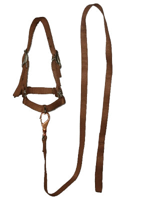 BOSAL #006 P/BORREGO C/GUIA CAFE