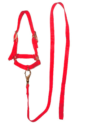 BOSAL #006 P/BORREGO C/GUIA ROJO