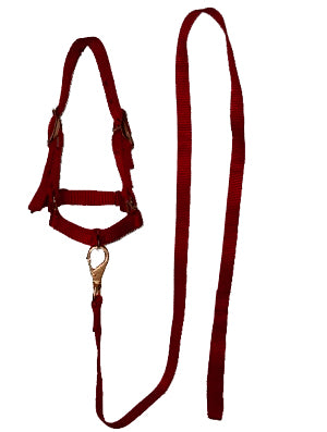 BOSAL #006 P/BORREGO C/GUIA TINTO