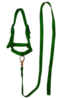 BOSAL #006 P/BORREGO C/GUIA VERDE