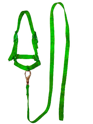BOSAL #006 P/BORREGO C/GUIA VERDE CLARO