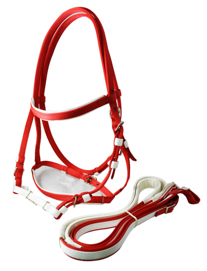 BRIDA #110 DE NYLON P/CARRERA COMBINADO