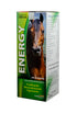 ENERGY 500 ML